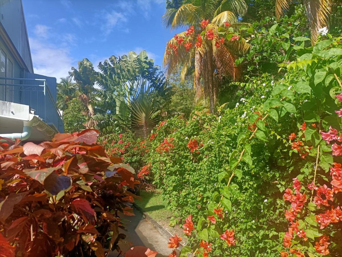 Villa Le Colibri Ble Sainte-Anne Exterior foto